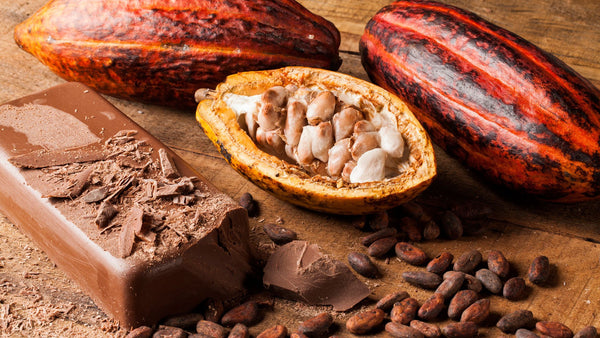 Cacao et chocolat