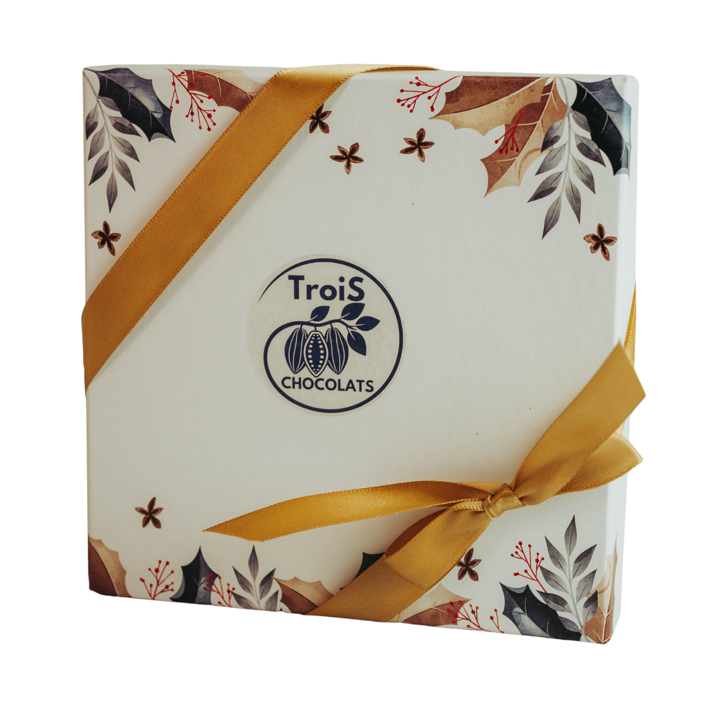 Coffret Chocolats Artisanaux  50 chocolats- Bean-to-Bar Premium | 3chocolats